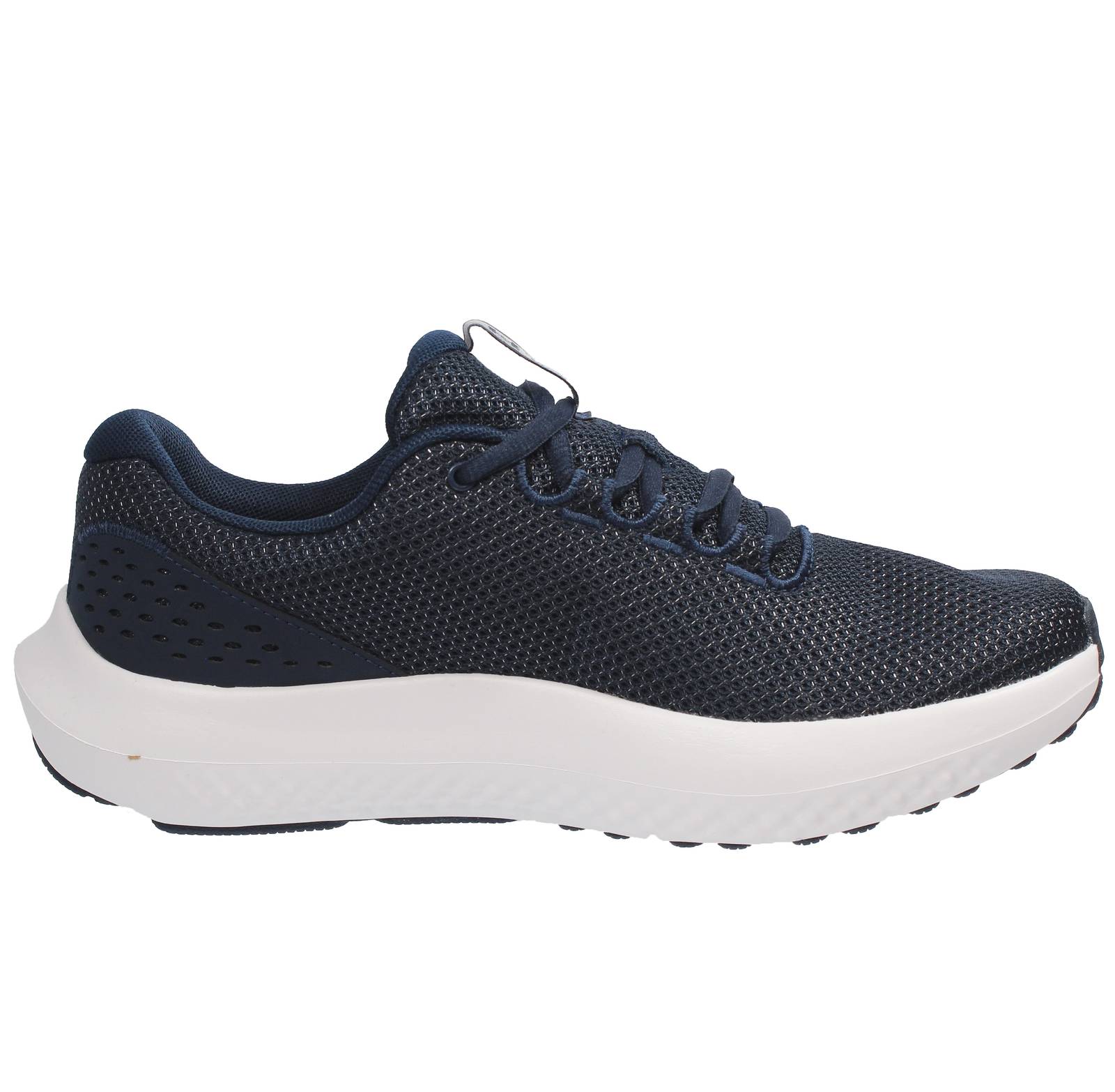 UNDER ARMOUR Charged Surge 4 - Chaussures de course en tissu Homme bleu Photo 2