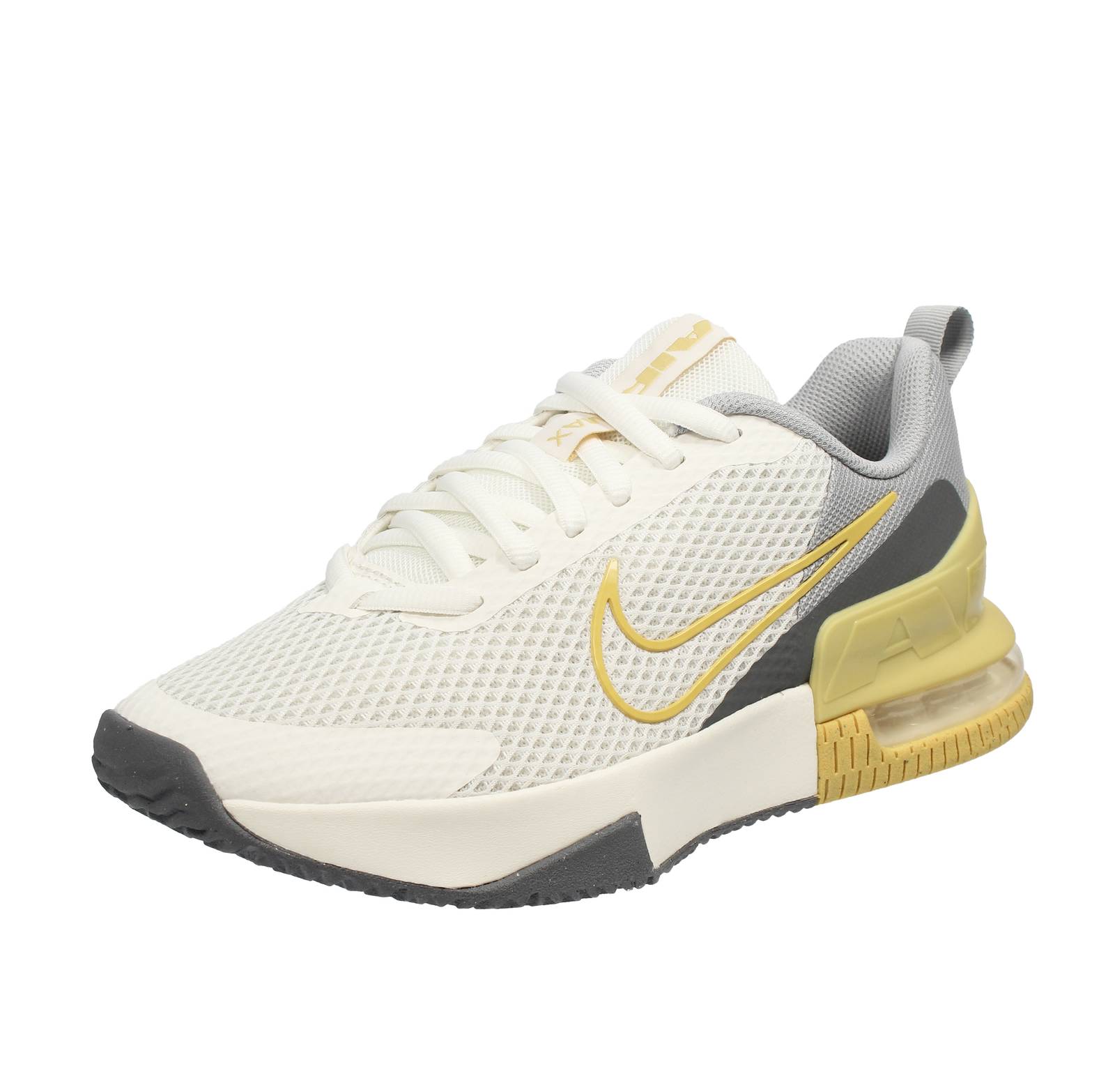 NIKE Air Max Alpha Trainer 6 Uomo beige
