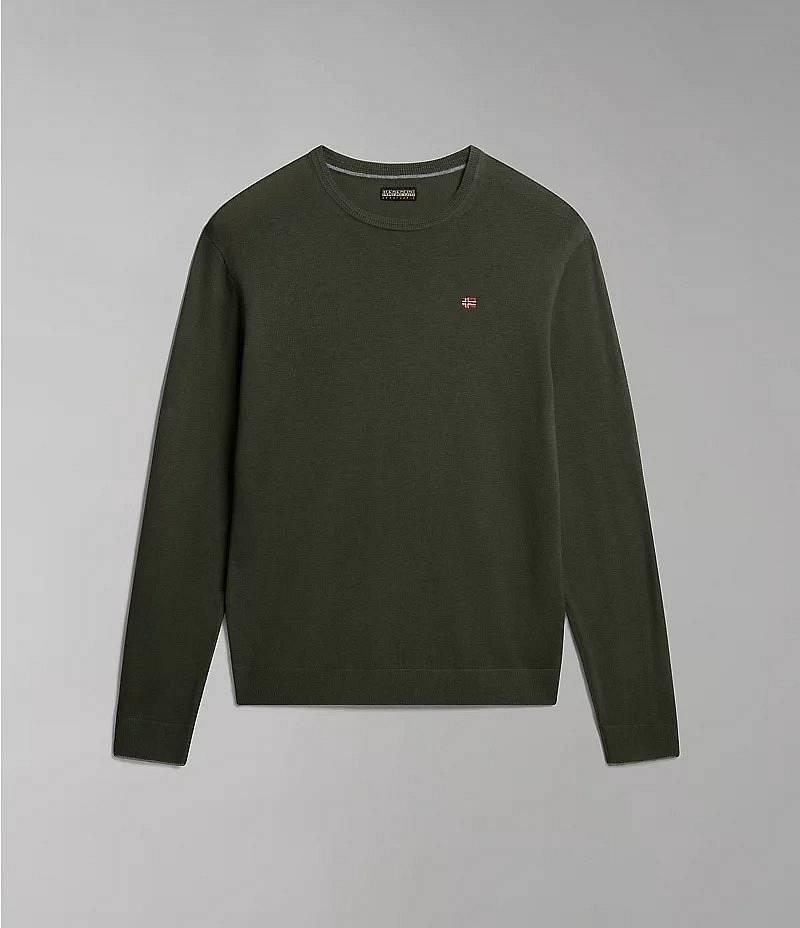NAPAPIJRI Damavand C Jersey Man green
